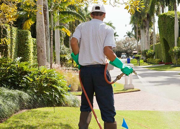About West Monroe LA Pest Control
